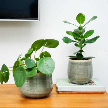 Como Hand Finished Indoor Ceramic Plant Pot H15cm x D18cm