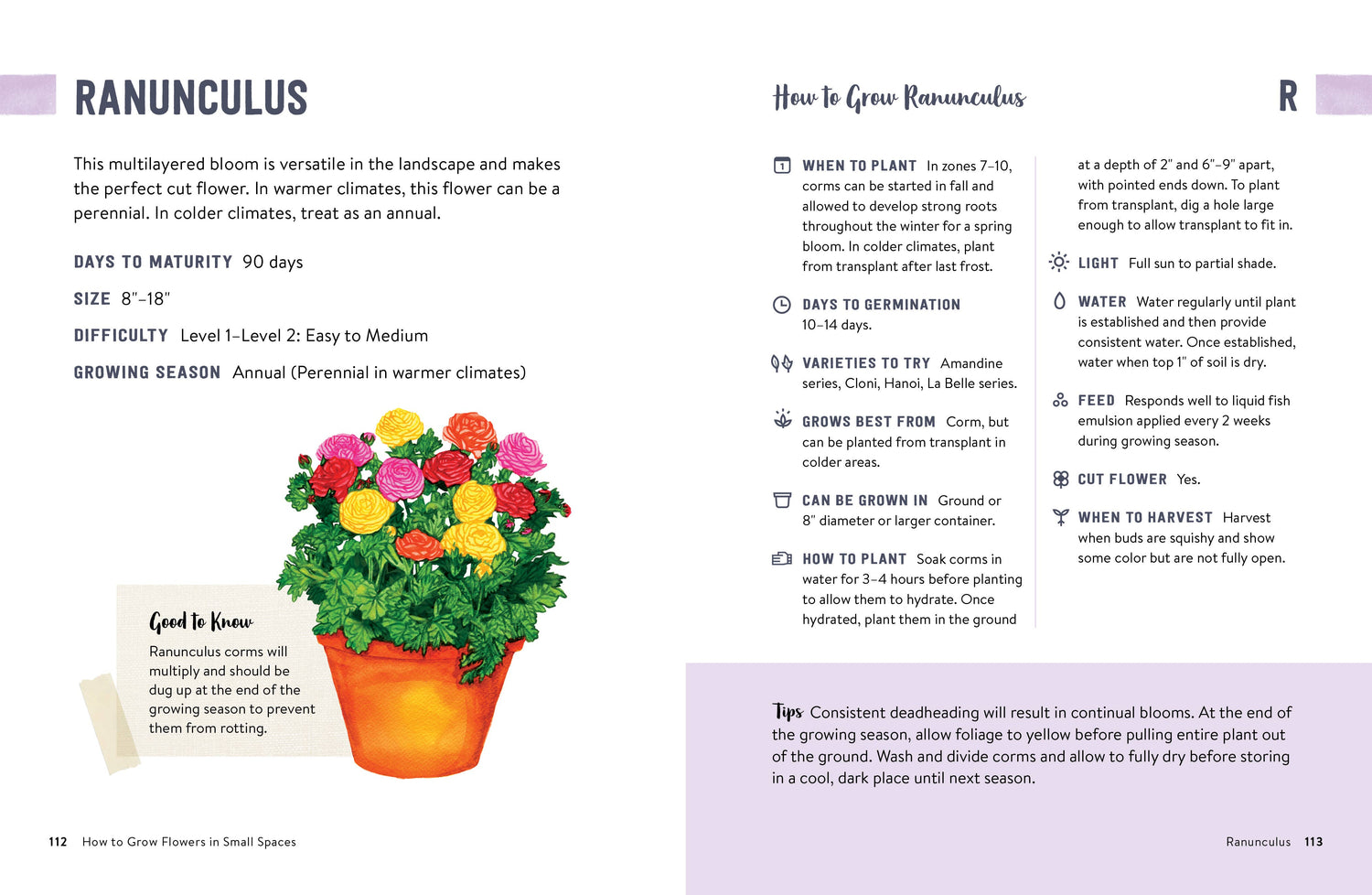 How to Grow Flowers in Small Spaces