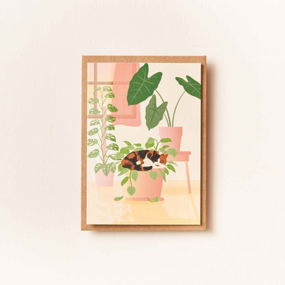 Calico Cat - greeting card