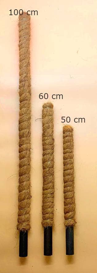 Coir Moss Pole | Plant Support |Growpoles Coirproducts