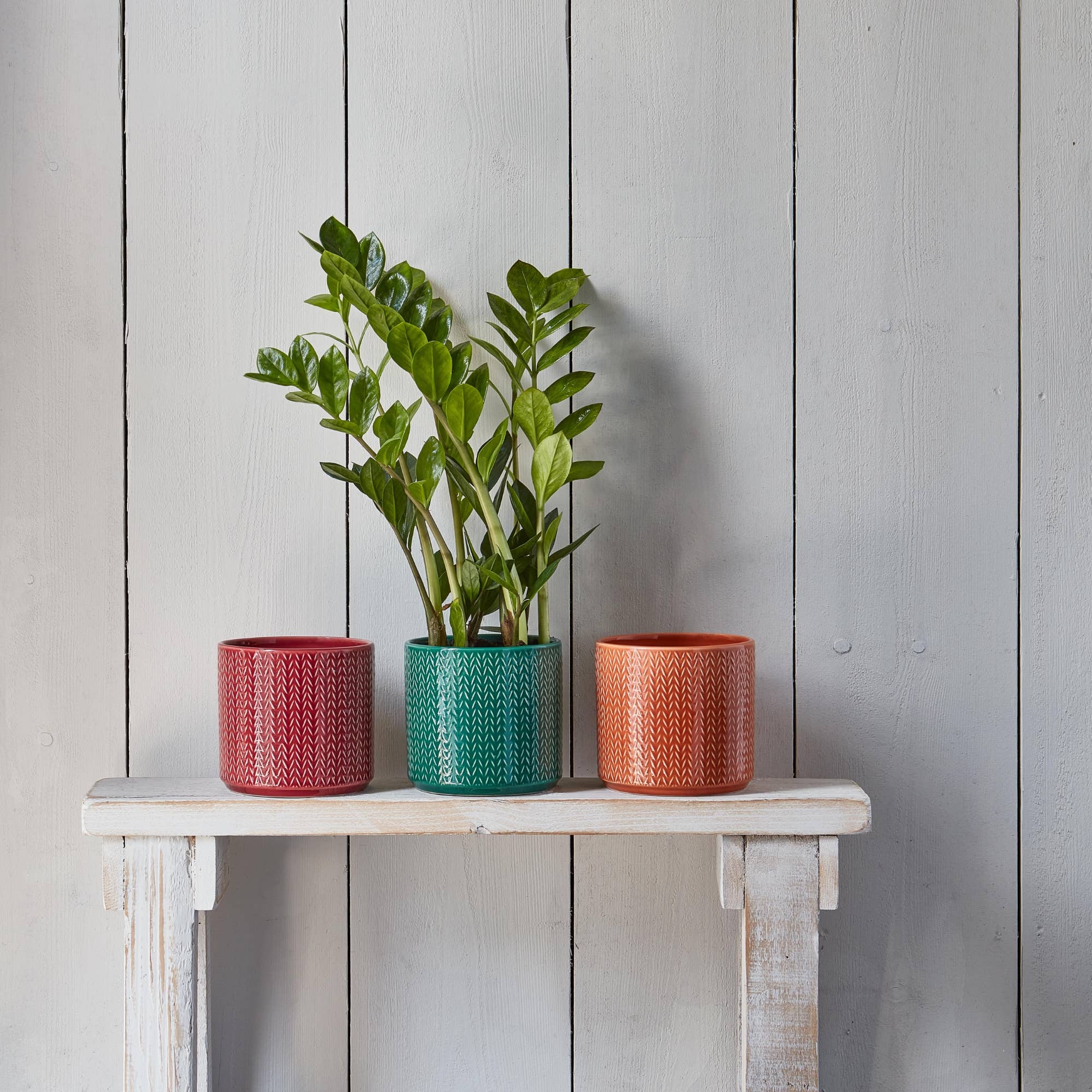 Glazed Earthenware Chevron Embossed Indoor Planter