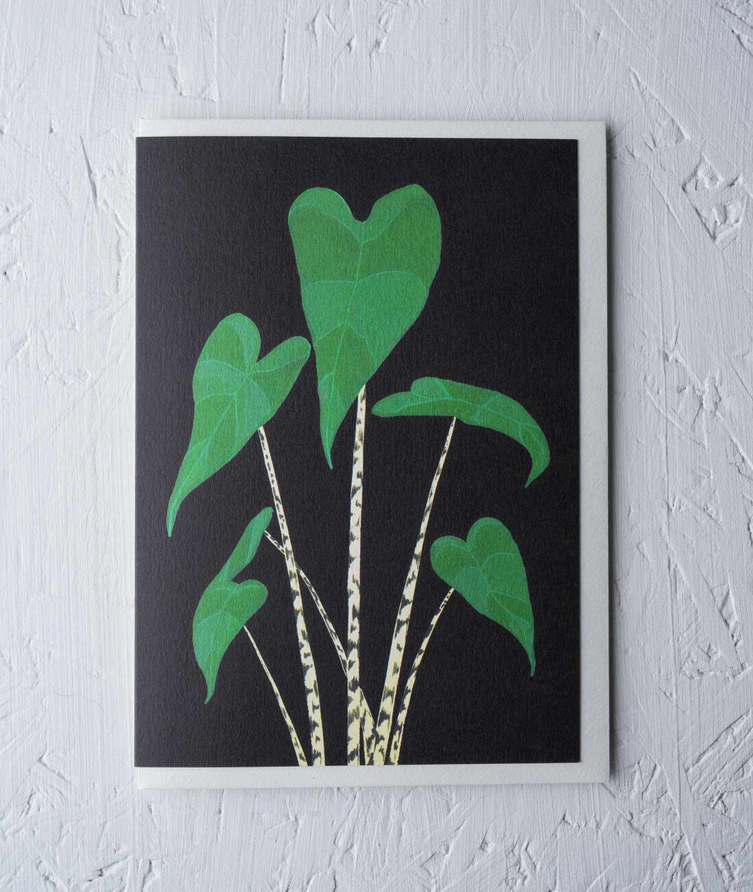 Zebrina Greeting Card