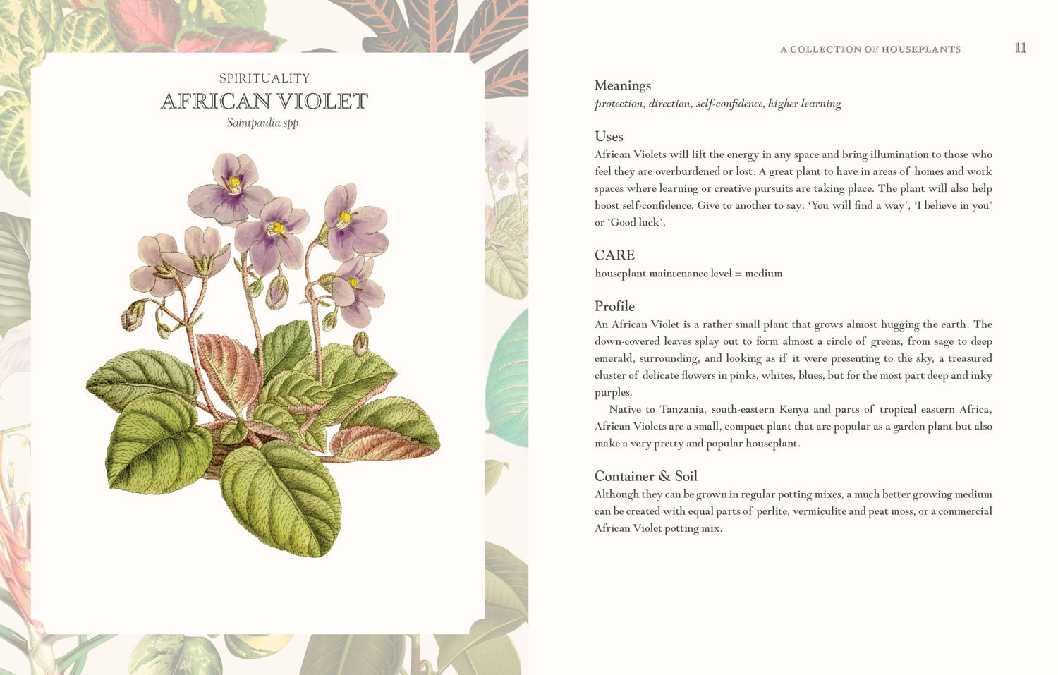 Language of Houseplants