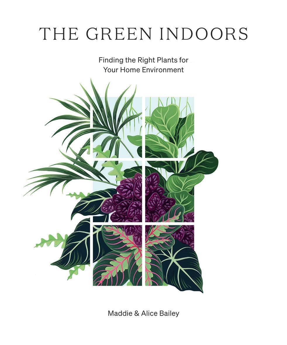 Green Indoors: Plants for Home by Maddie &amp; Alice Bailey