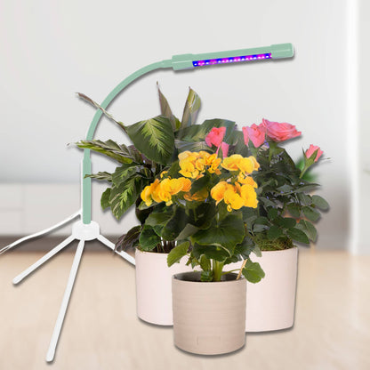 Plant Booster Grow Light - Houseplant Gift