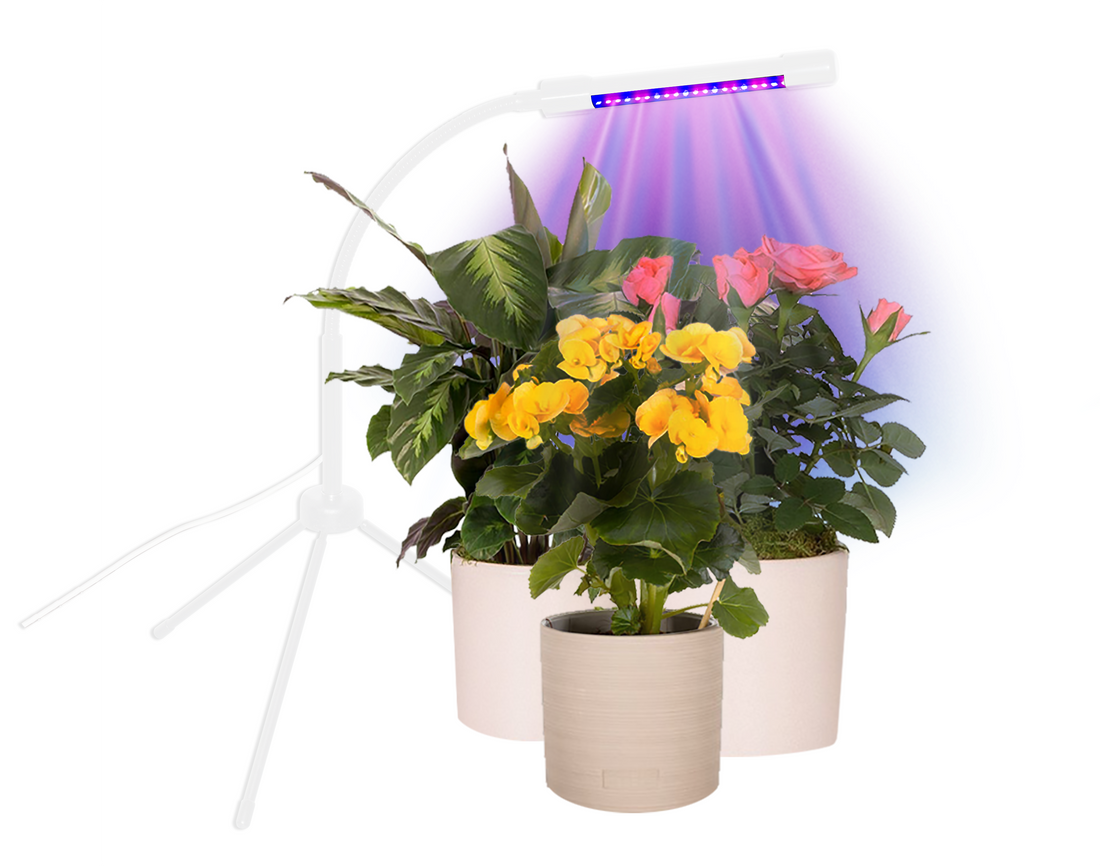 Plant Booster Grow Light - Houseplant Gift