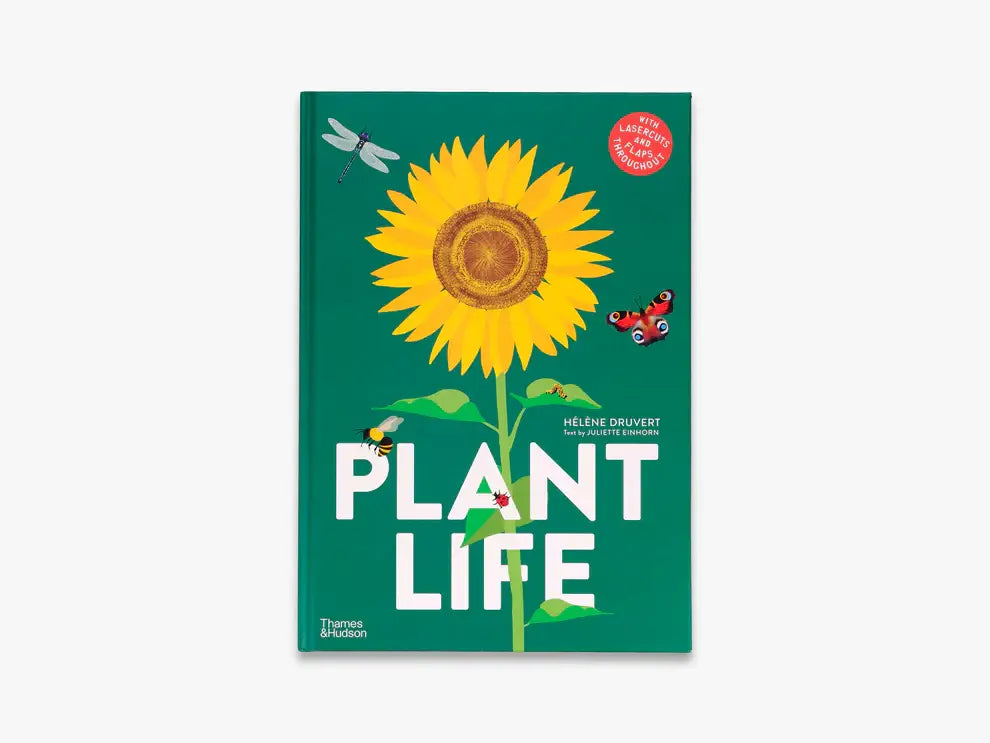 Plant Life