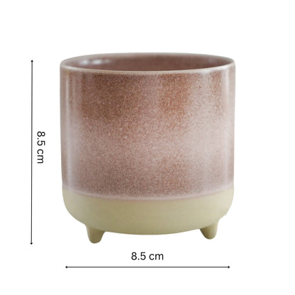 Jolie Matte Reactive Glaze Ceramic Indoor Cacti Planter