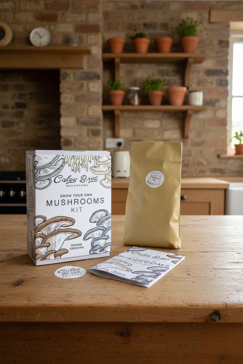 Mushroom Growing Gift Box