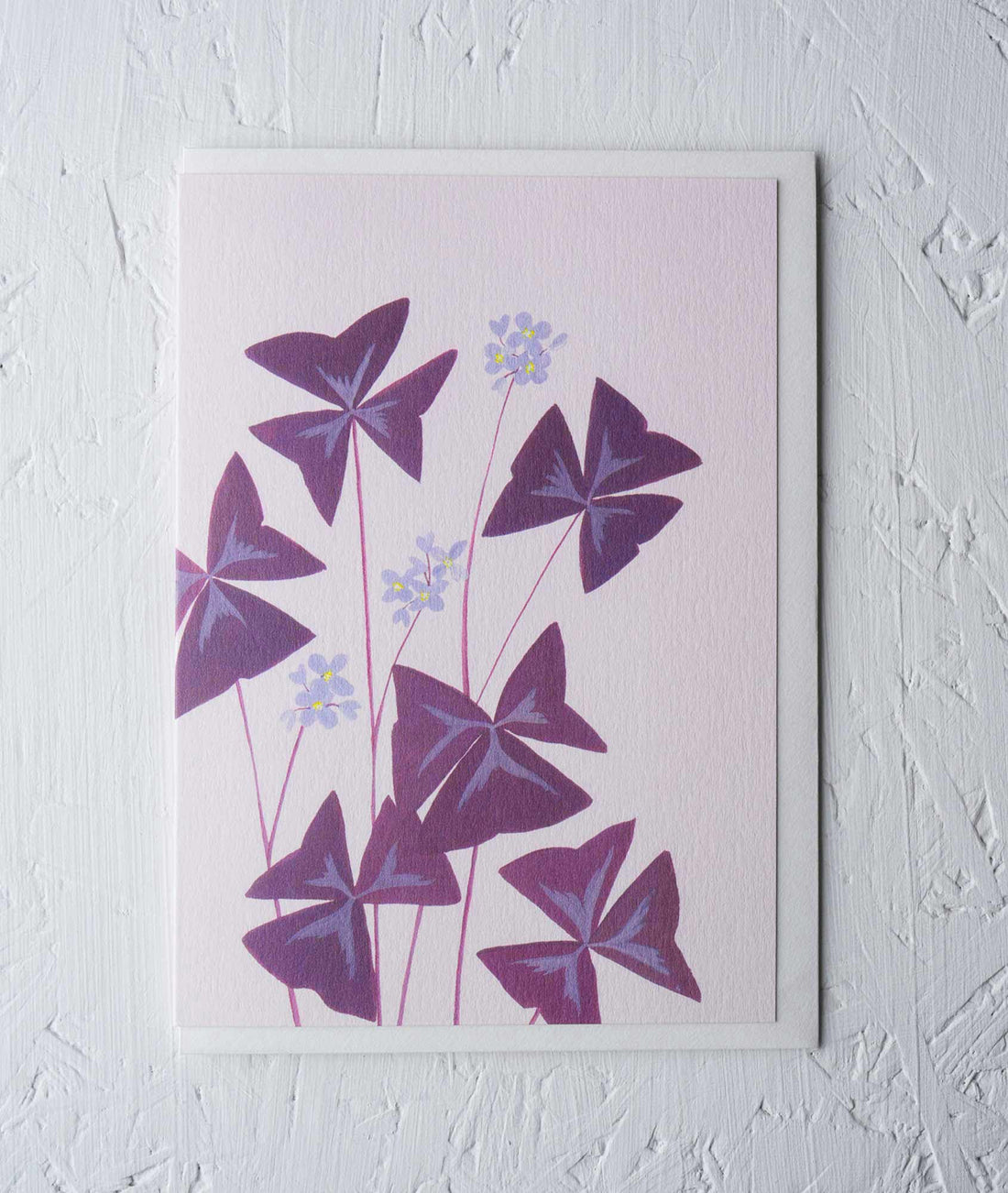 Oxalis Greeting Card