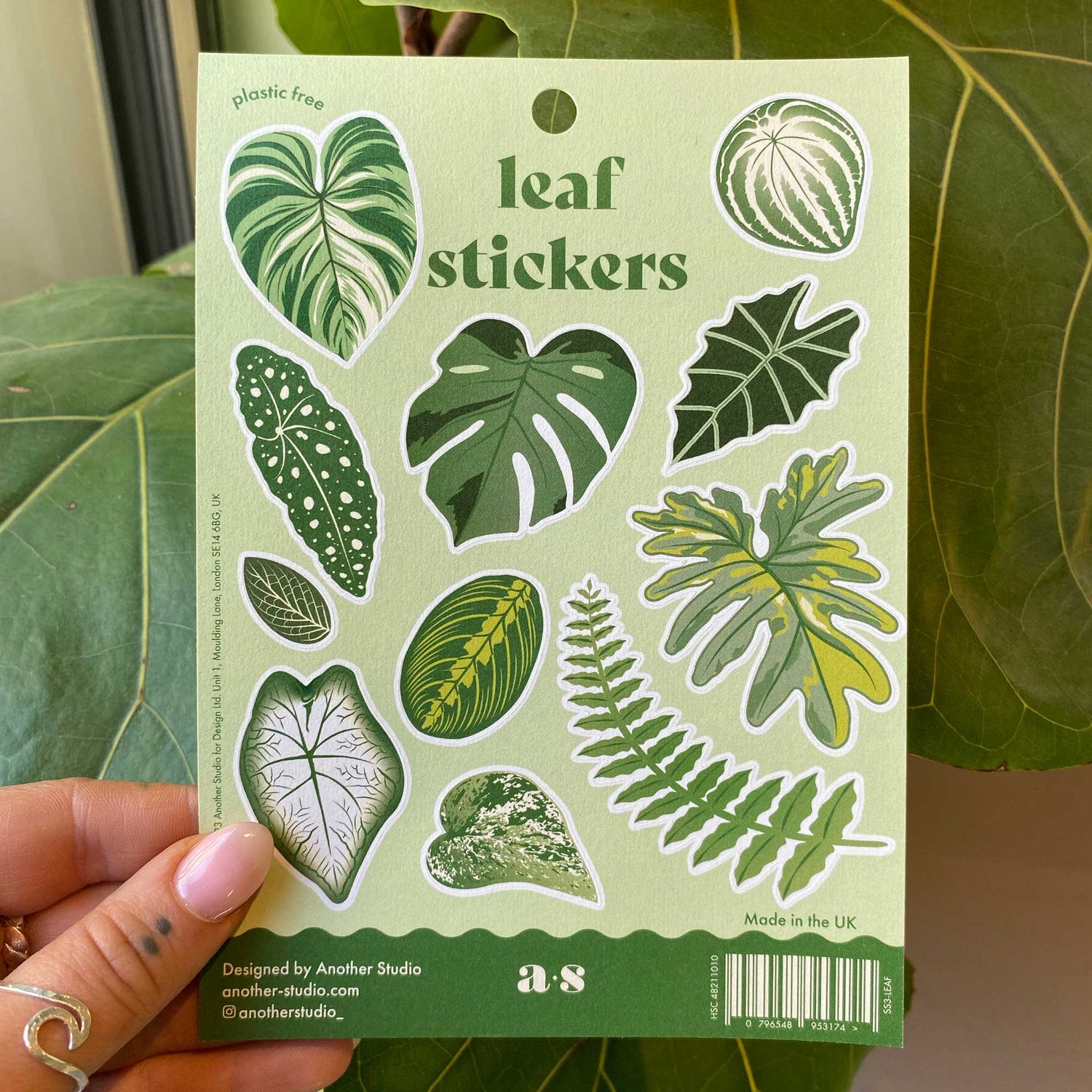 Houseplant Leaves Sticker Sheet