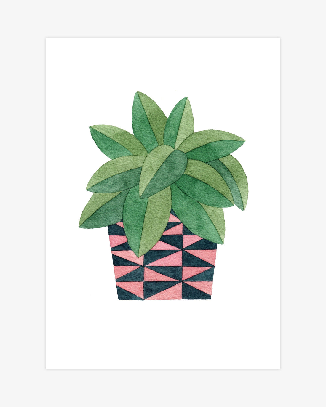 Radiator Plant A5 Print