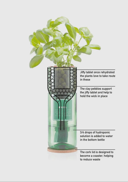 Hydro Herb Grow Kit - Eco-Friendly / Biodegradable