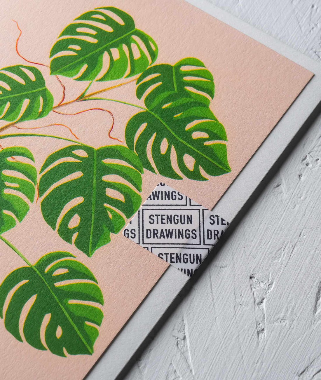 Monstera Greeting card