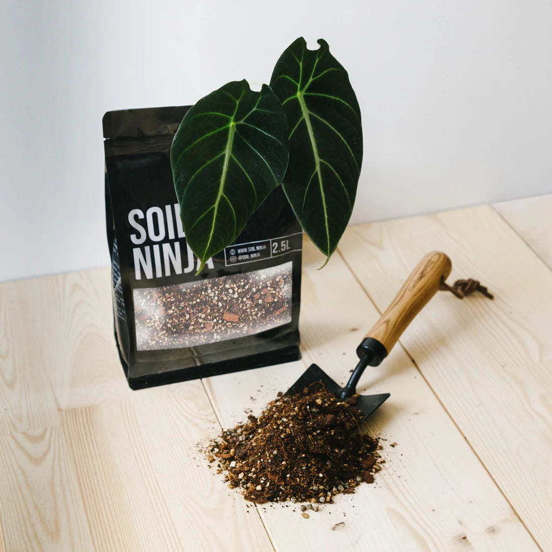 Soil Ninja - Premium Alocasia Blend 2.5L