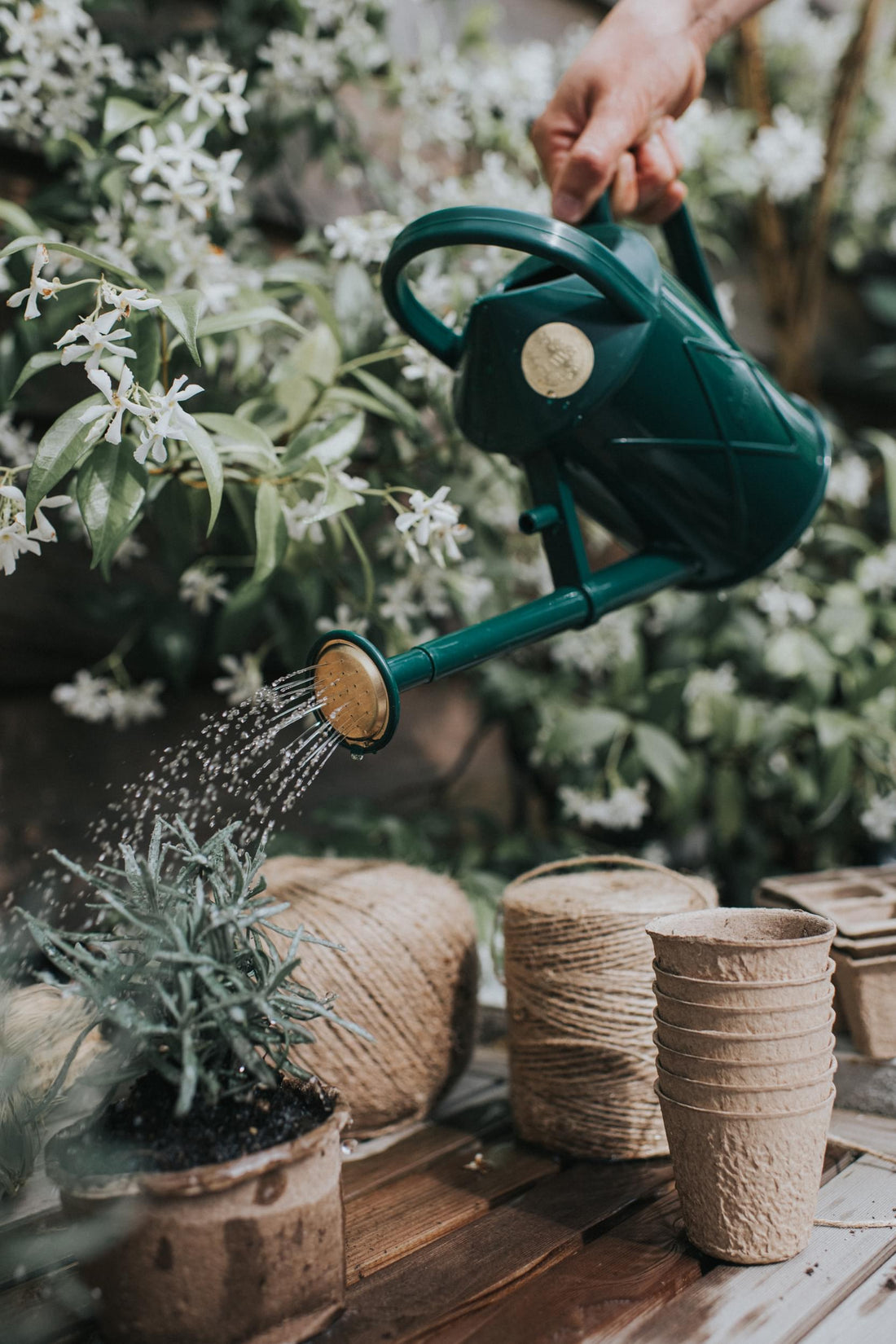 The Bartley Burbler Green - Two Pint Watering Can Haws