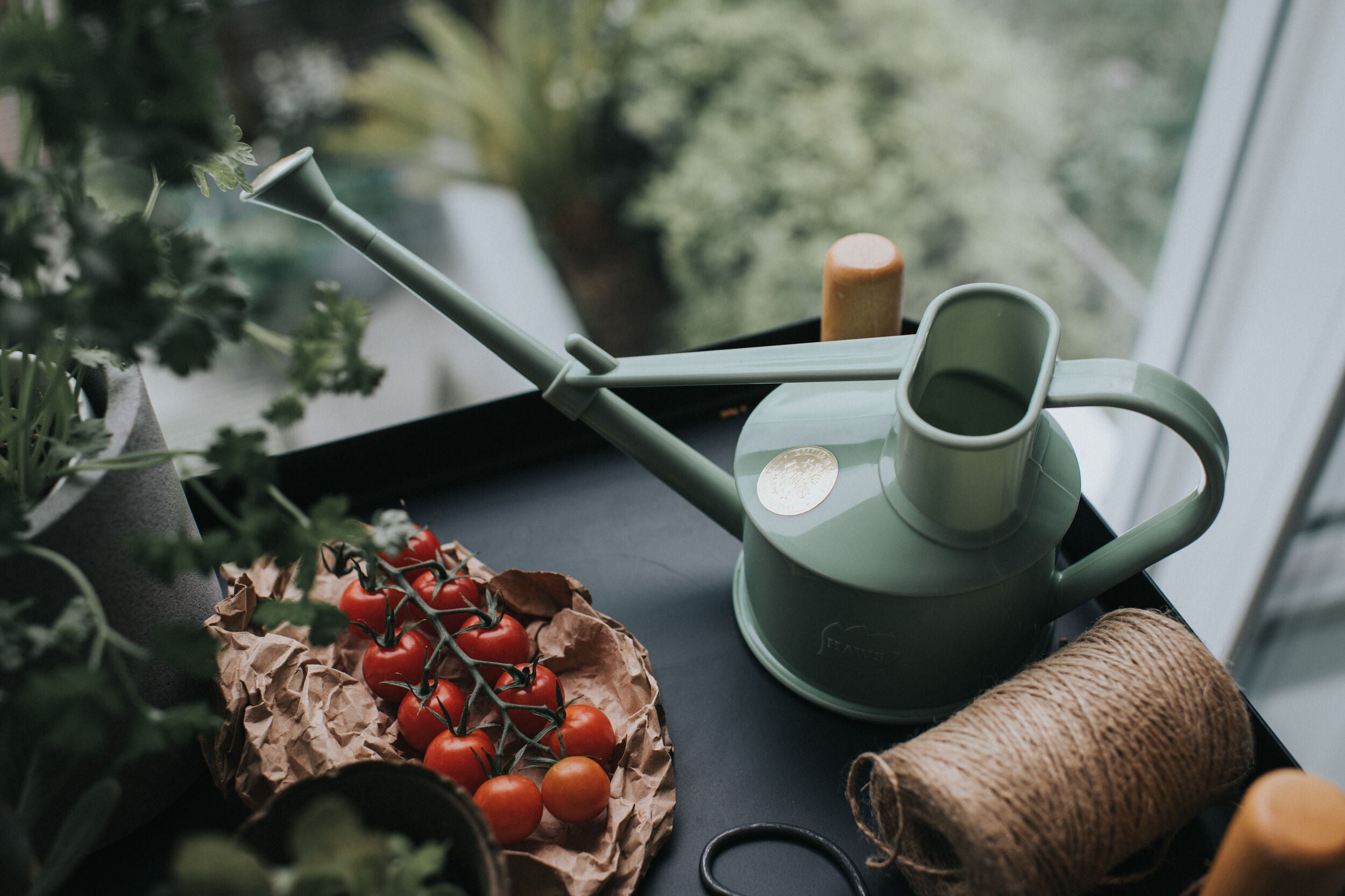 The Langley Sprinkler Sage - One Pint Watering Can Haws