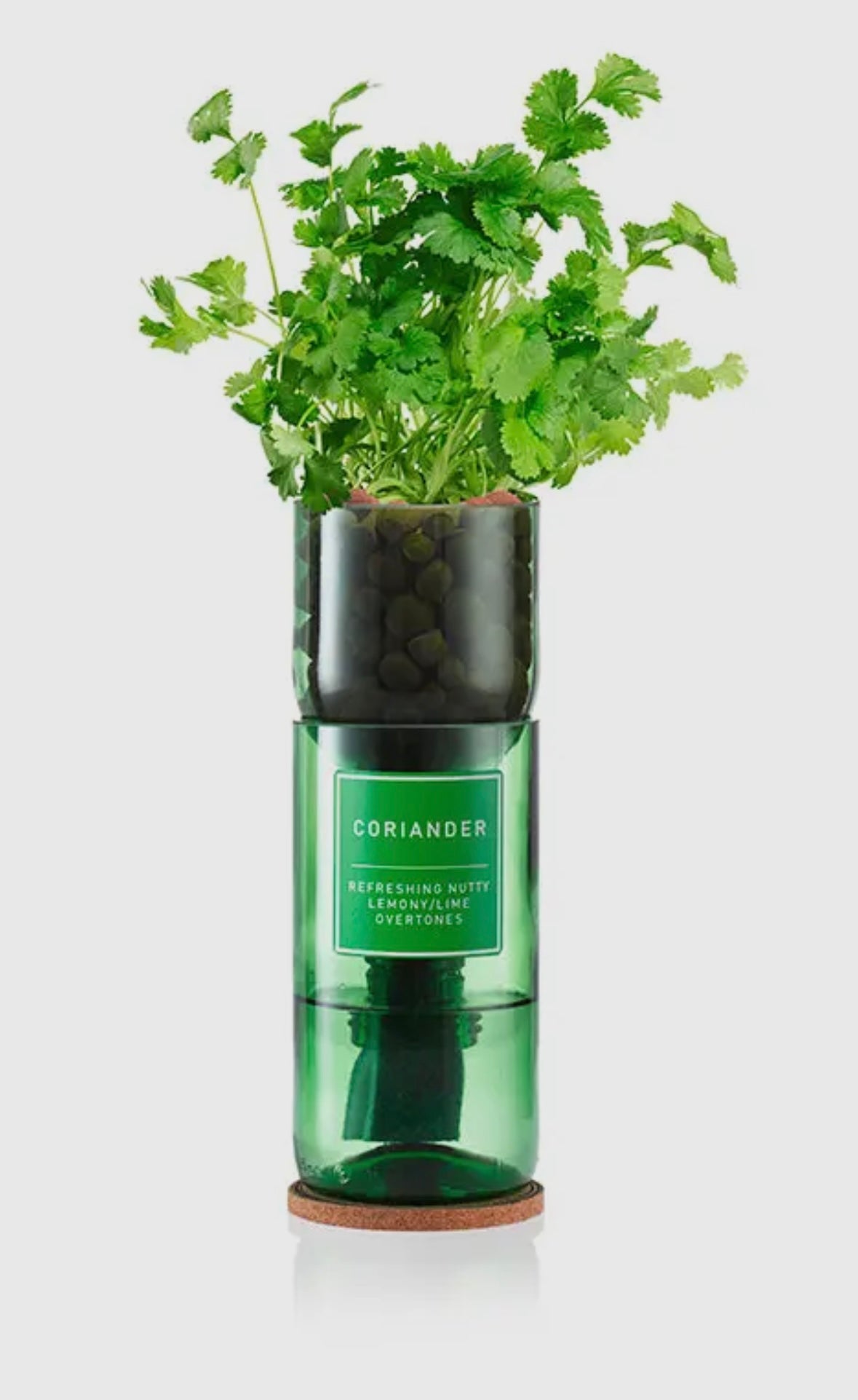 Hydro Herb Grow Kit - Eco-Friendly / Biodegradable
