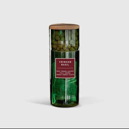 Hydro Herb Grow Kit - Eco-Friendly / Biodegradable