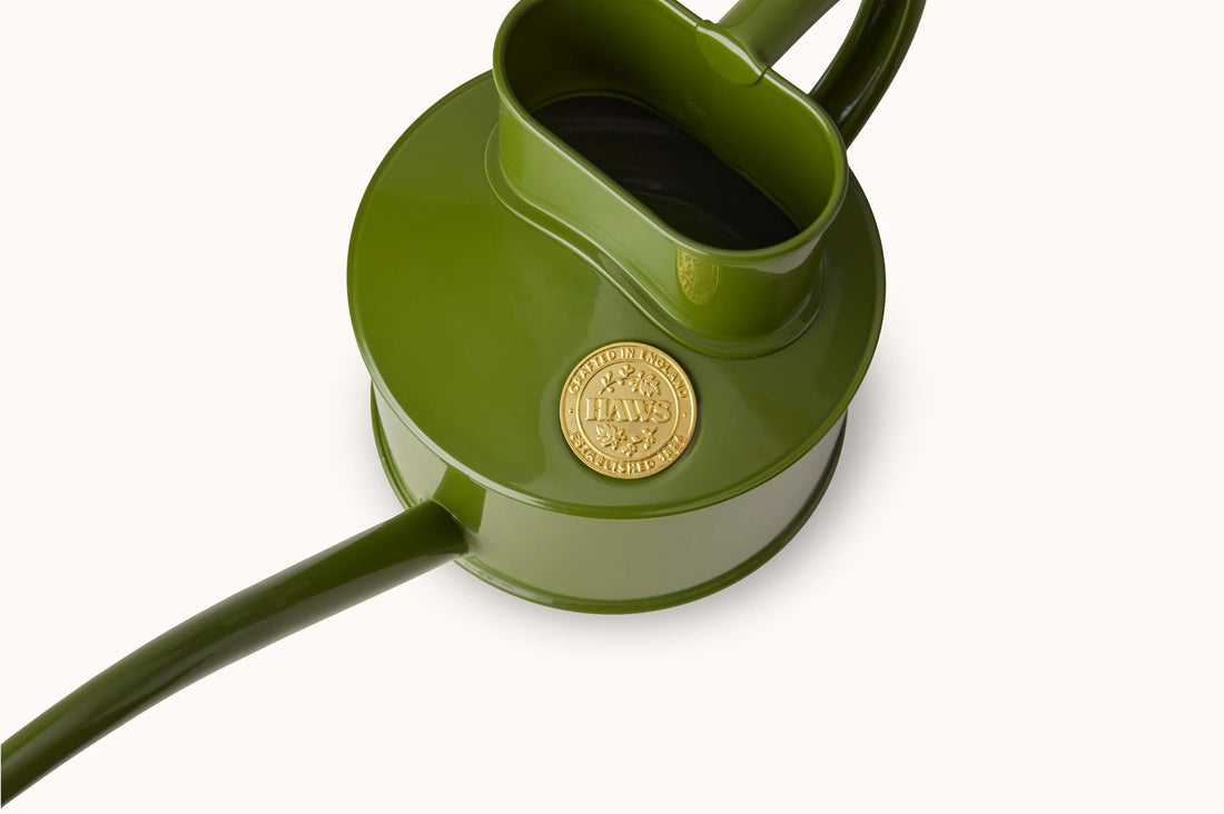 Haws Fazely Flow Fern Green Watering Can - 1 Pint