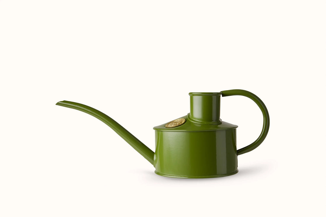 Haws Fazely Flow Fern Green Watering Can - 1 Pint