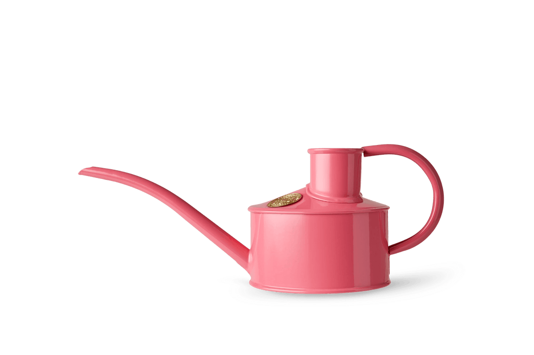 Haws Fazely Flow Peppercorn Pink Watering Can - 1 Pint