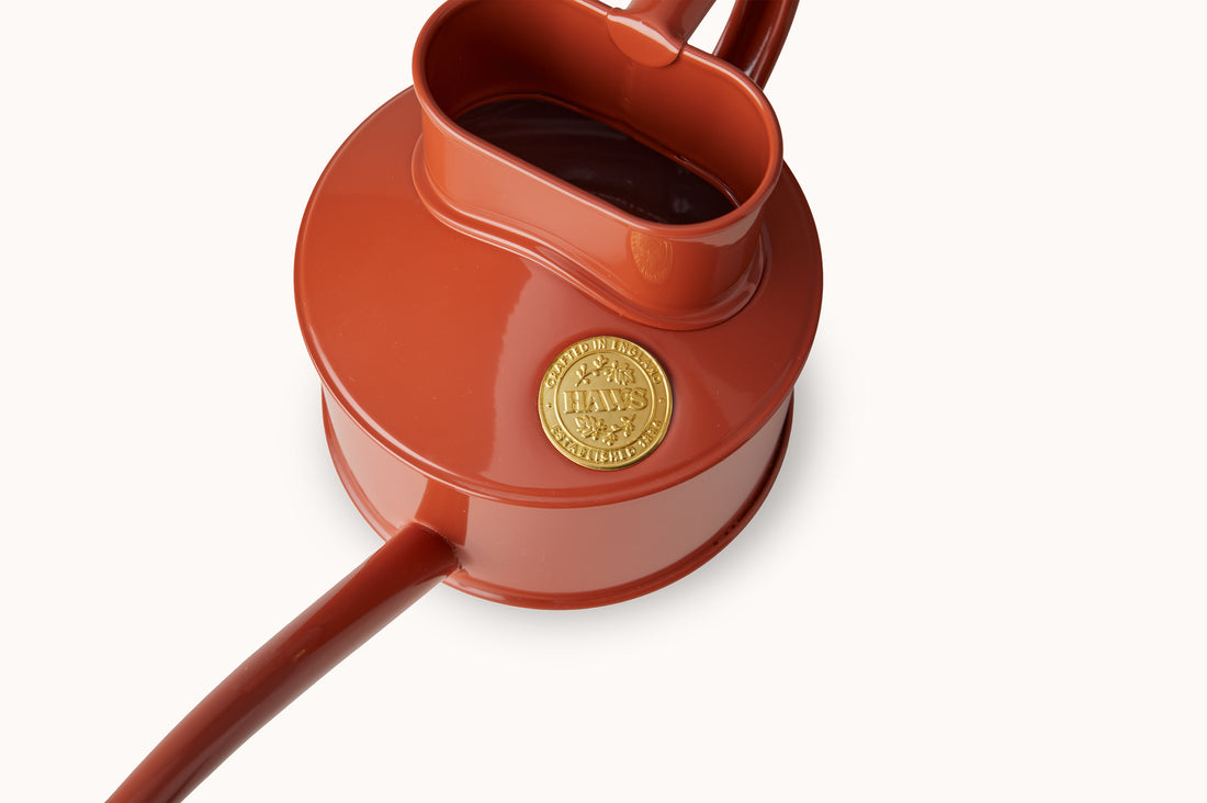 Haws Fazely Flow Terracotta Orange Watering Can - 1 Pint