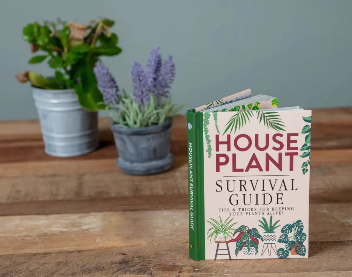 Houseplant Survival Guide