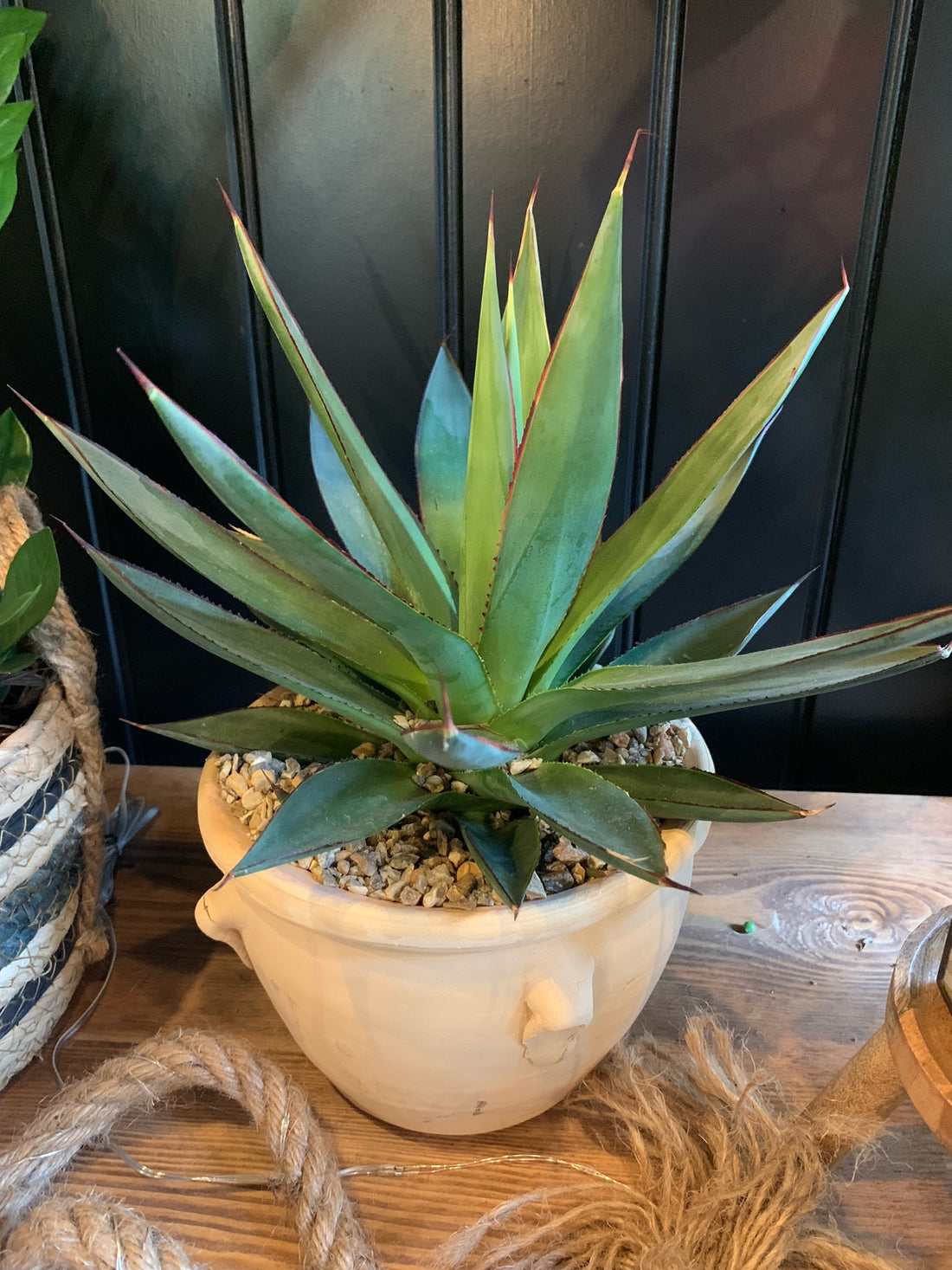 Agave Mix in Ceramic