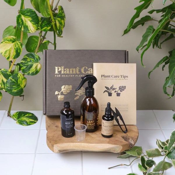 Indoor Plant Care Kit