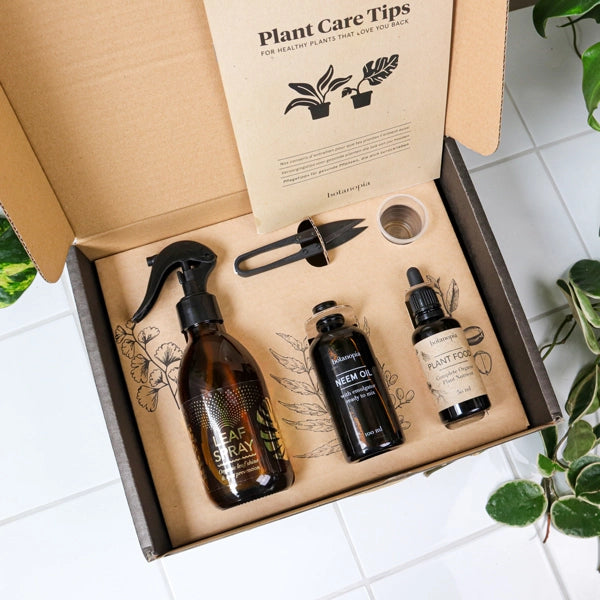 Indoor Plant Care Kit