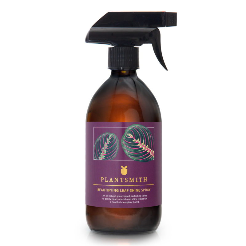 Beautifying Leaf Shine Spray 500ml