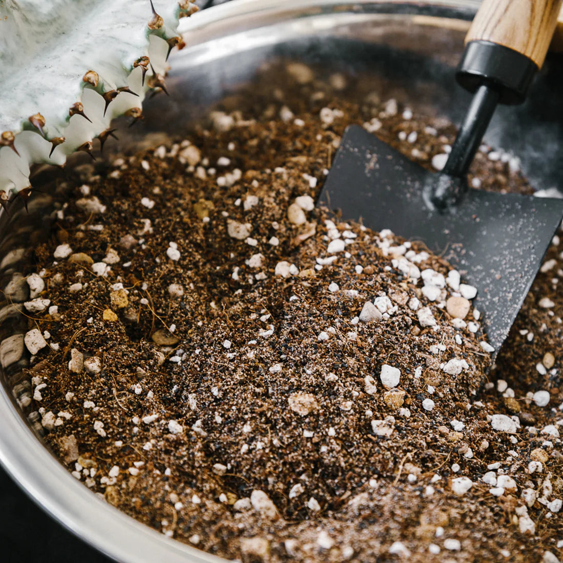 cactus soil mix Soil Ninja