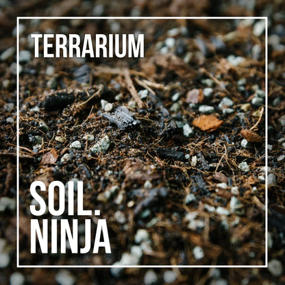 Terrarium Potting Mix Blend - Soil Ninja