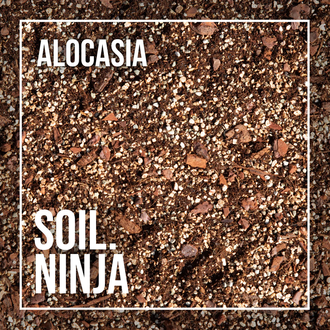 Soil Ninja - Premium Alocasia Blend 2.5L