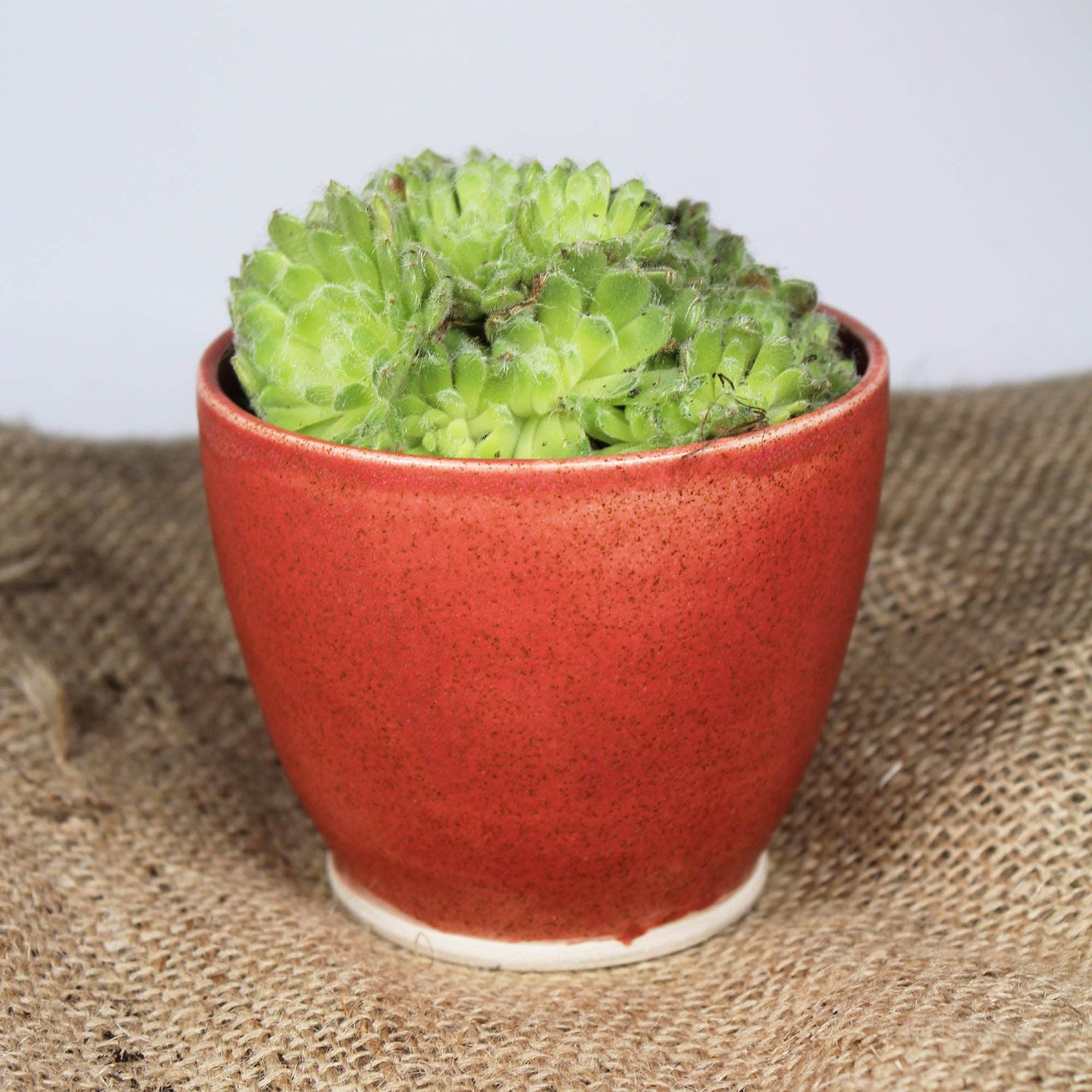 Mini Cherry Red Handmade Ceramic Plant Pot