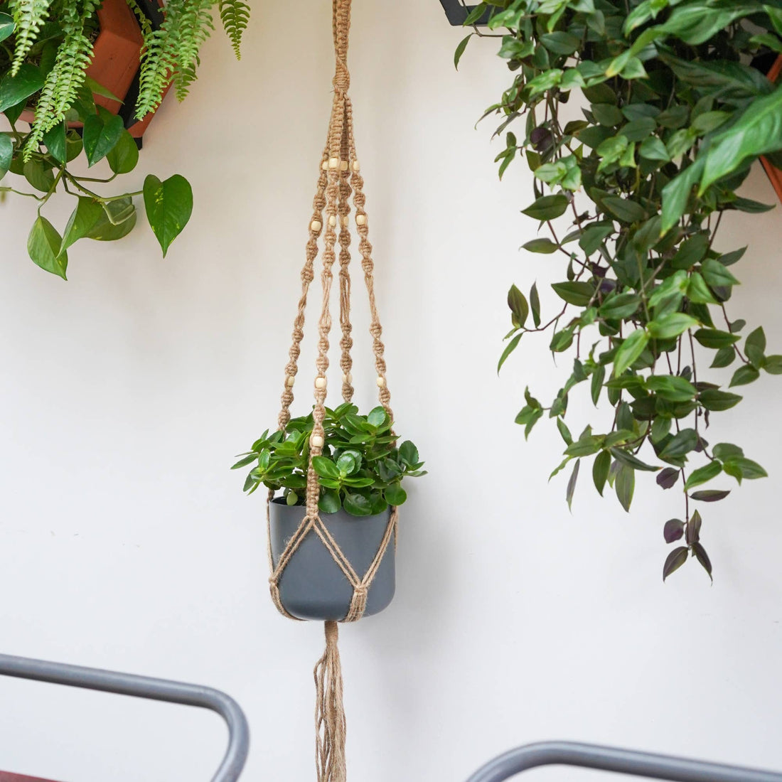 Ivyline Macrame Plant Hanger Natural H95Cm