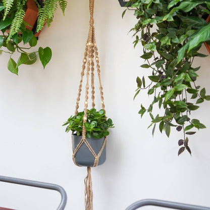 Ivyline Macrame Plant Hanger Natural H95Cm