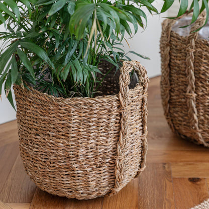 Tenno Natural Seagrass Indoor Lined Basket Planter Set of 3