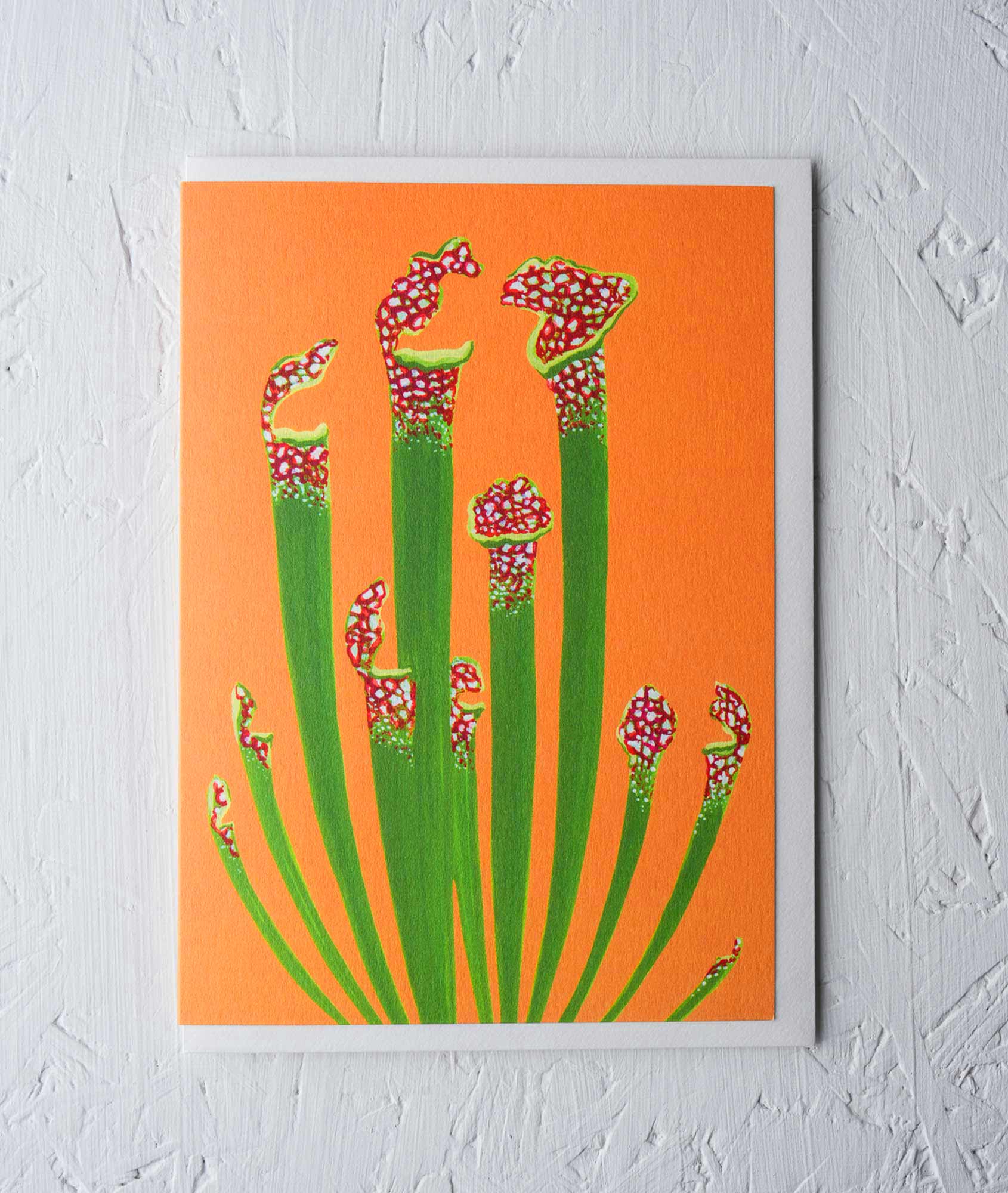 Pitcher Plant Greeting Card – BotanicYork