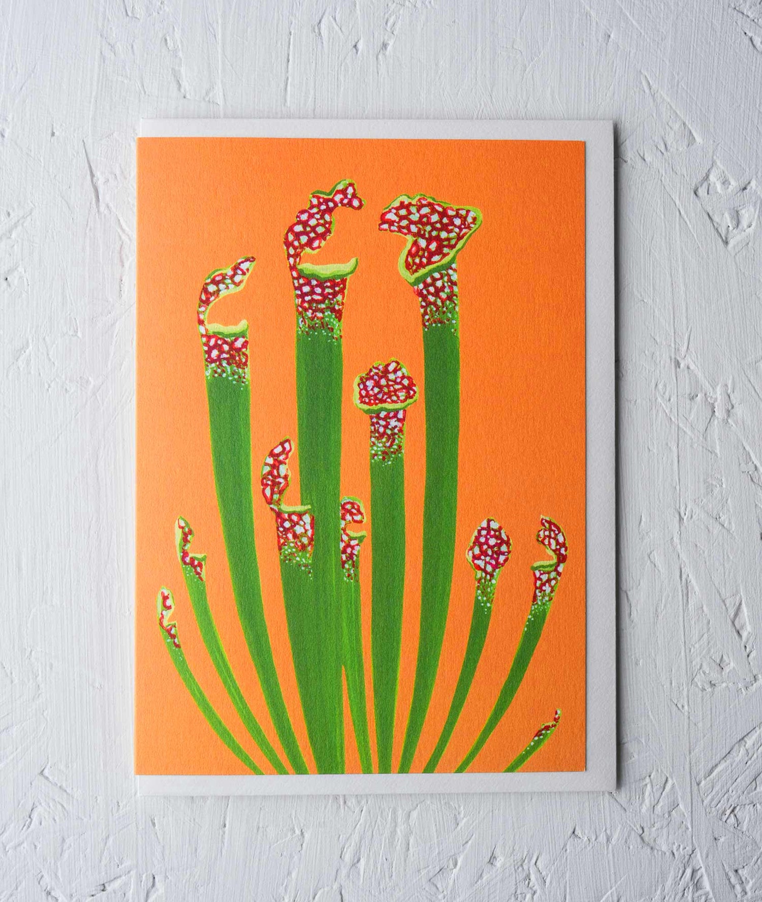 Pitcher Plant Greeting Card