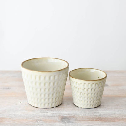 Cream Flower Planter, 11cm