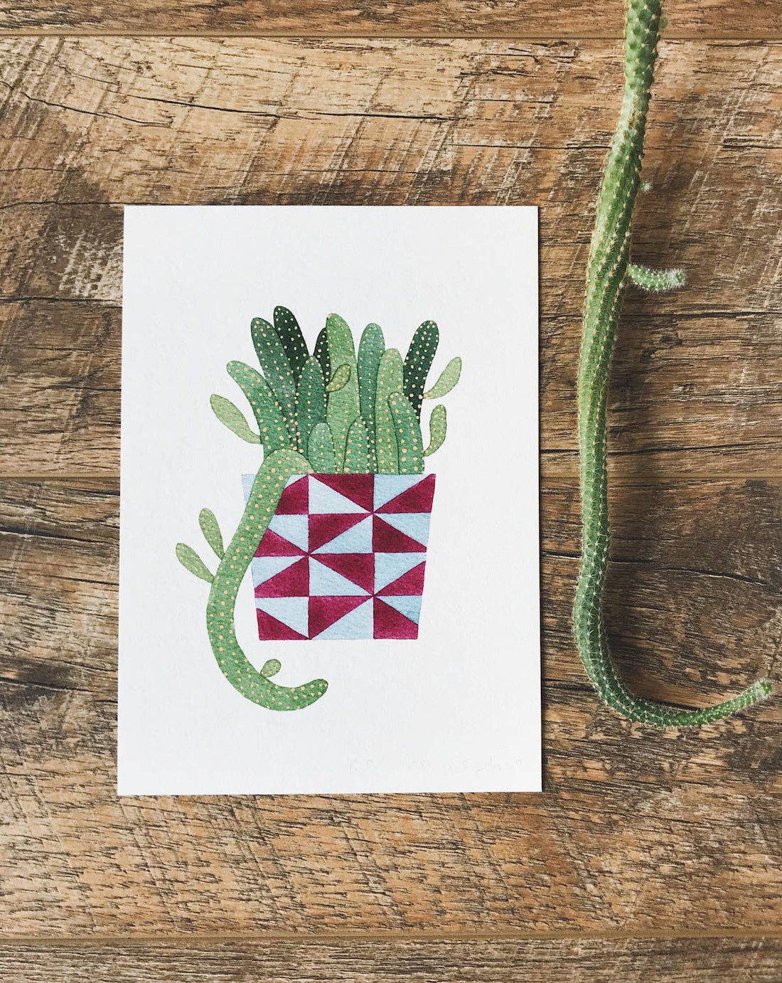 Peanut Cactus A5 Print