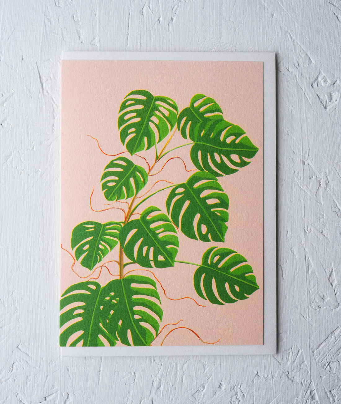 Monstera Greeting card