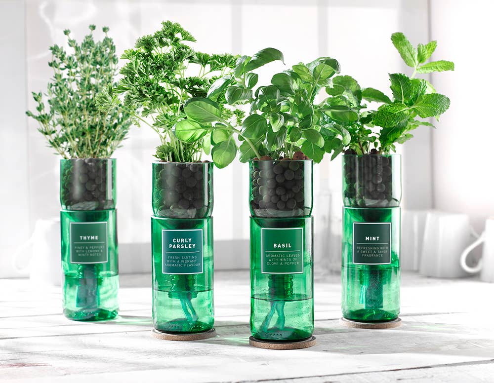 Hydro Herb Grow Kit - Eco-Friendly / Biodegradable