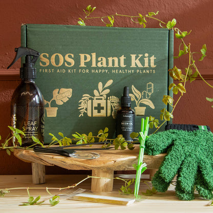 SOS Plant Kit - Saving Sick Plants, One Leaf at a Time