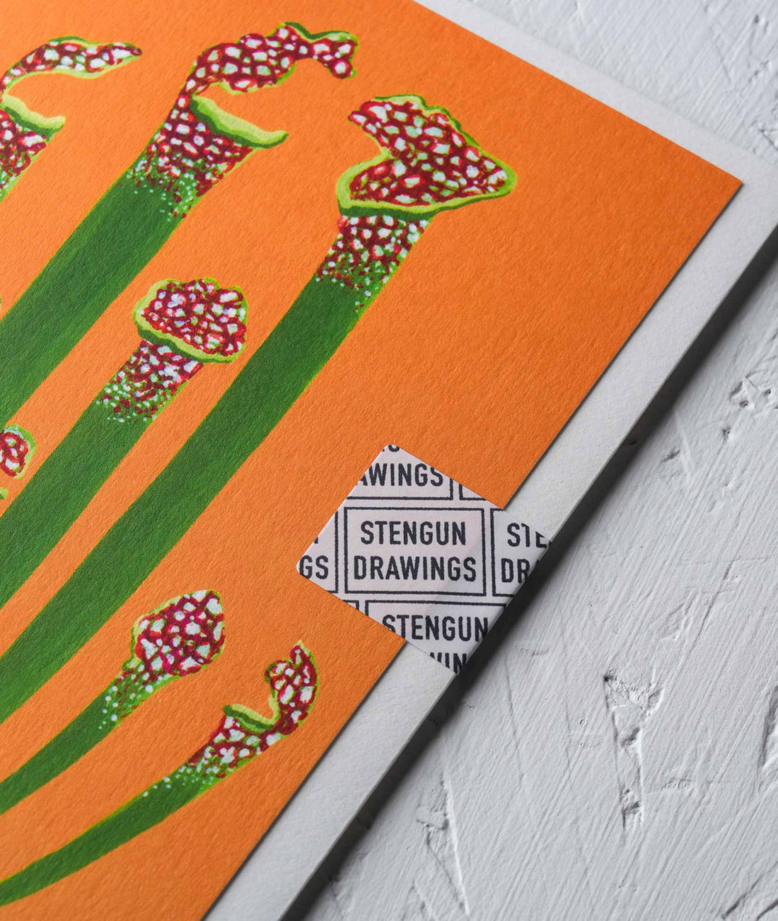 Pitcher Plant Greeting Card