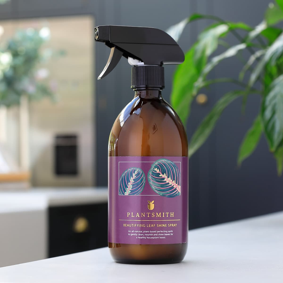 Beautifying Leaf Shine Spray 500ml